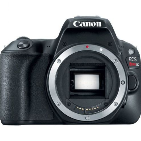 Canon EOS Rebel SL2 DSLR Camera (Body)