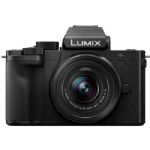 Panasonic Lumix DC-G100 Mirrorless Digital Camera with 12-32mm Lens